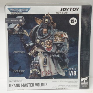 Оригинальная подвижная фигурка JOYTOY Warhammer 1/18 Великий магистр Серых Рыцарей Волдус — миниатюра 5