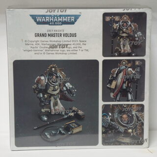 Оригинальная подвижная фигурка JOYTOY Warhammer 1/18 Великий магистр Серых Рыцарей Волдус — миниатюра 6