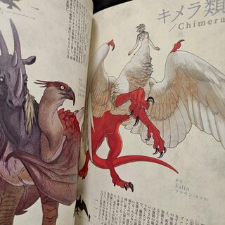 Оригинальный японский артбук «Подземелье вкусностей» красный — миниатюра 9