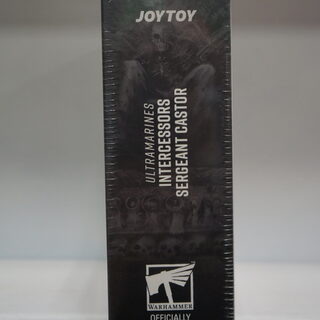 Оригинальная подвижная фигурка JOYTOY Warhammer 1/18 Ультрамарин, Брат-Ветеран, Сержант Кастор — миниатюра 5